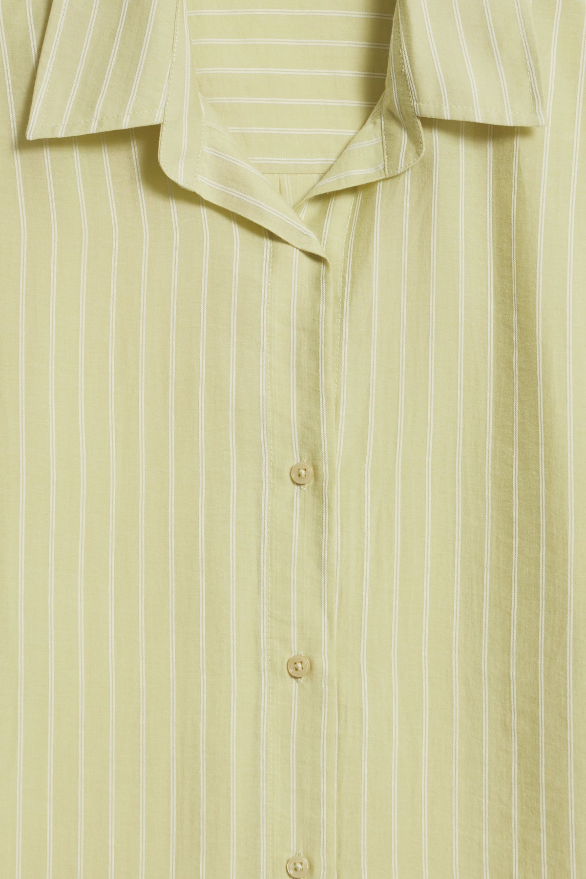 GREEN/WHITE