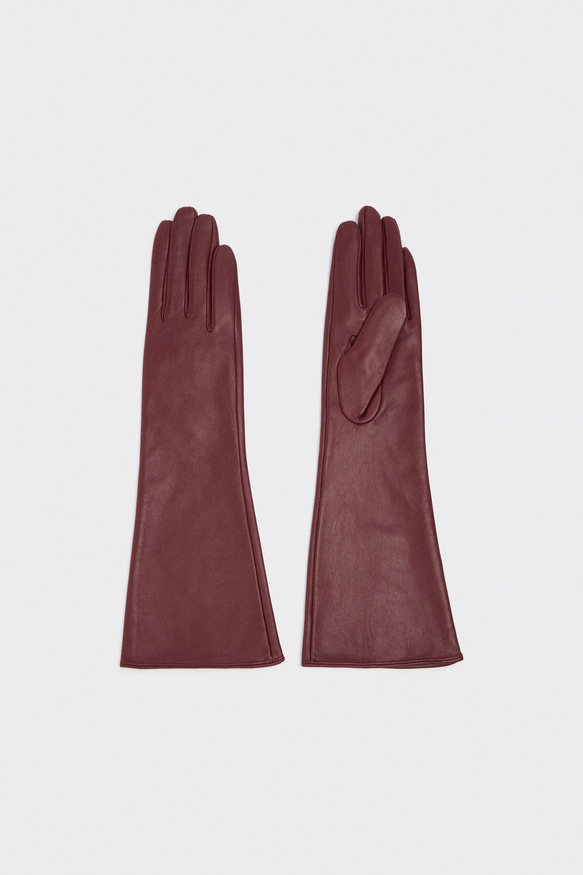 WINE COLOR