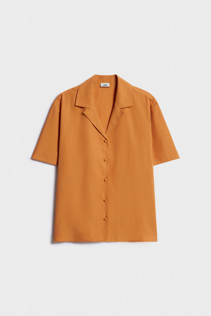AMBER