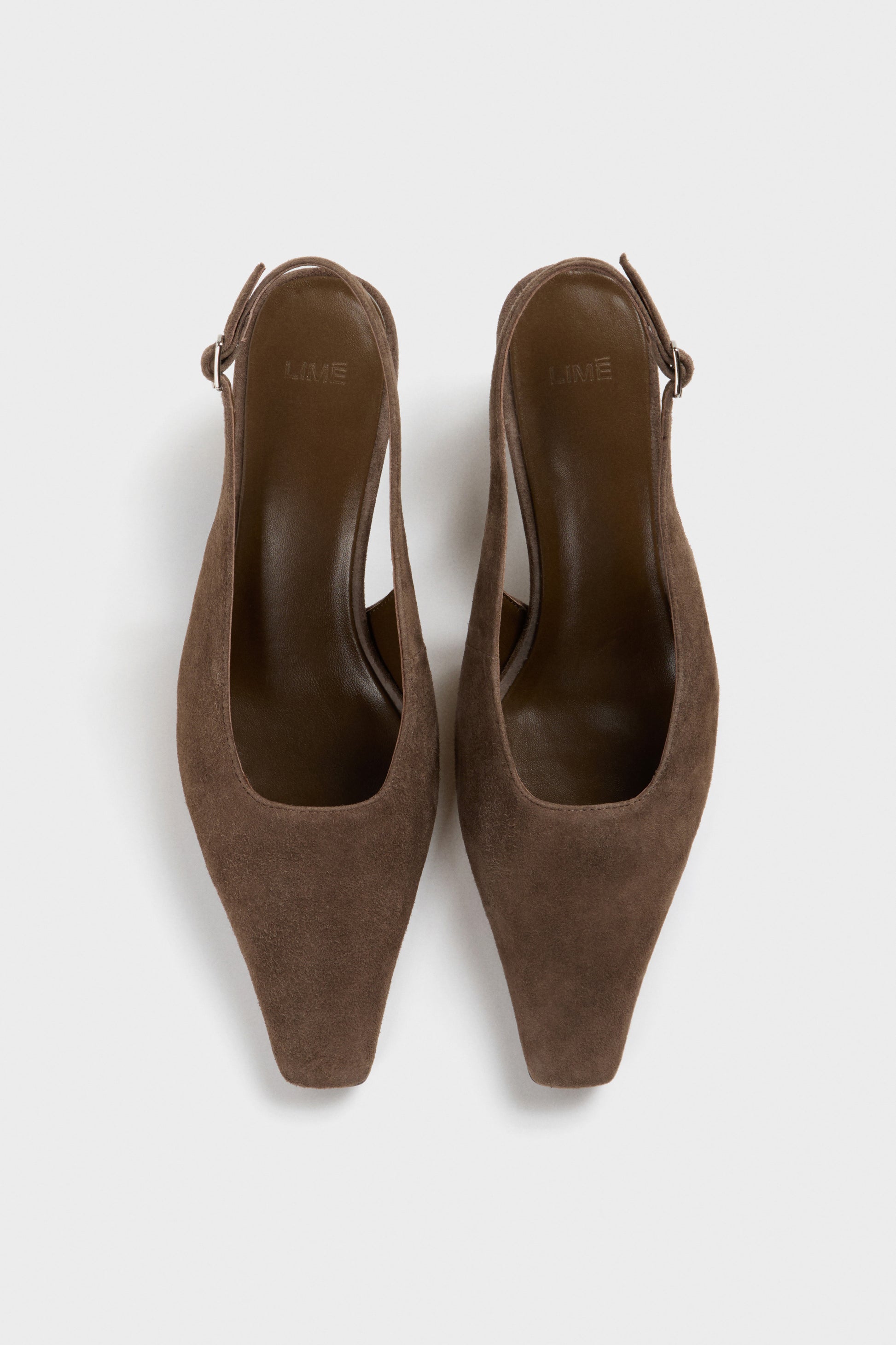GRAY BROWN