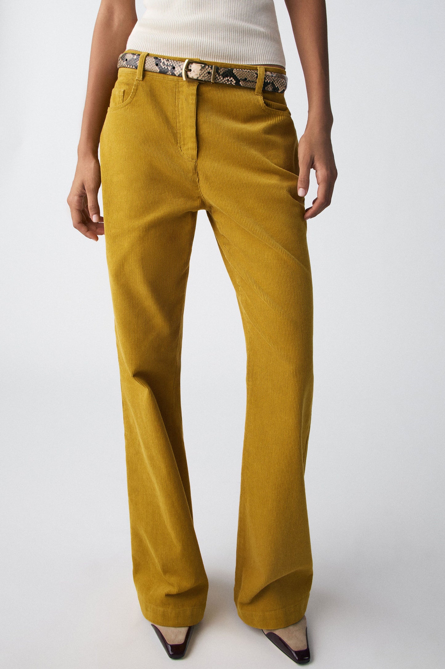 MUSTARD