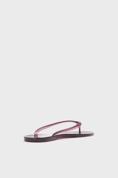 WINE COLOR