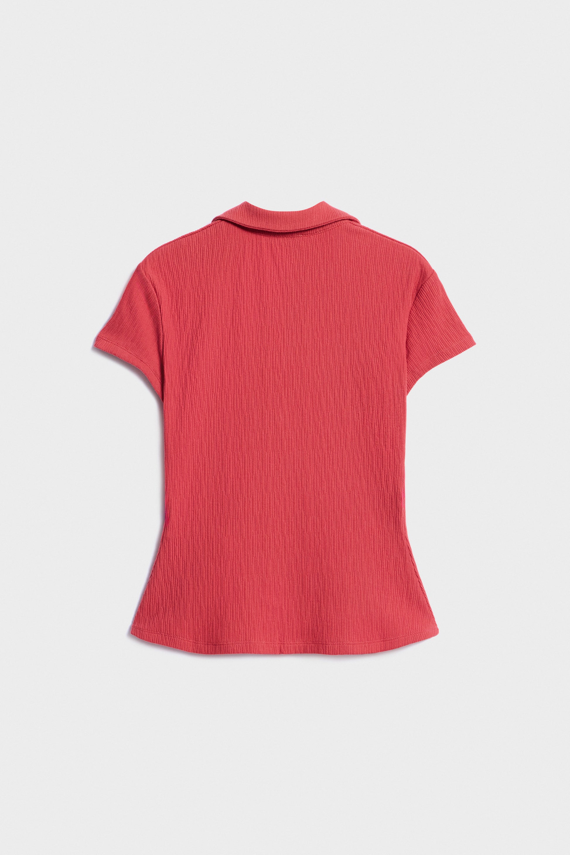 TERRACOTTA
